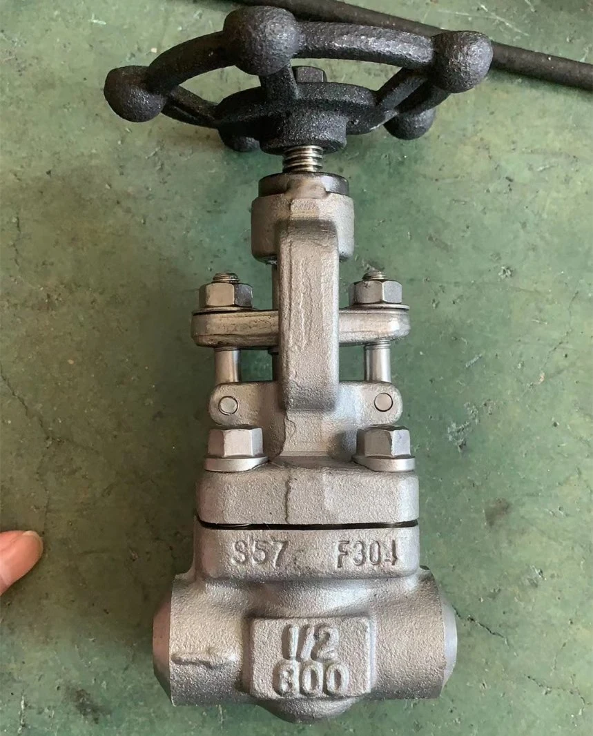 Forged Steel Sw Ends Globe Valve A105 N