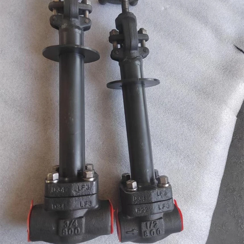 Forged Steel Sw Ends Globe Valve A105 N
